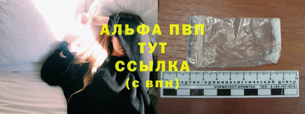 соль ск Дмитриев