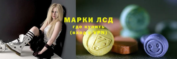 соль ск Дмитриев