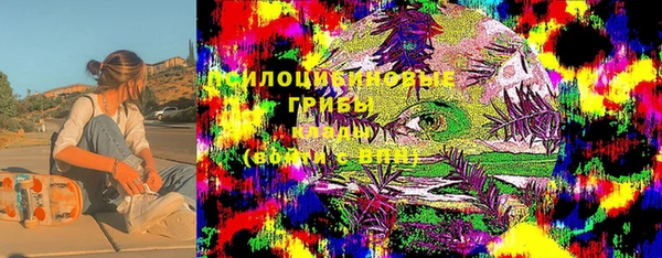 не бодяженный Гусев