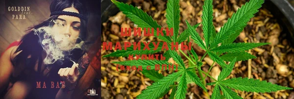 не бодяженный Гусев