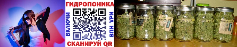Марихуана Amnesia  Константиновск 